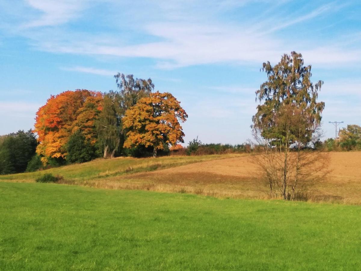 Nad Stawami Zwartowko Exterior foto